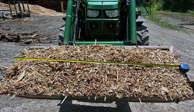 Bucket Load of Hemlock Woodchips