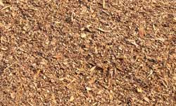 Hemlock Woodchips